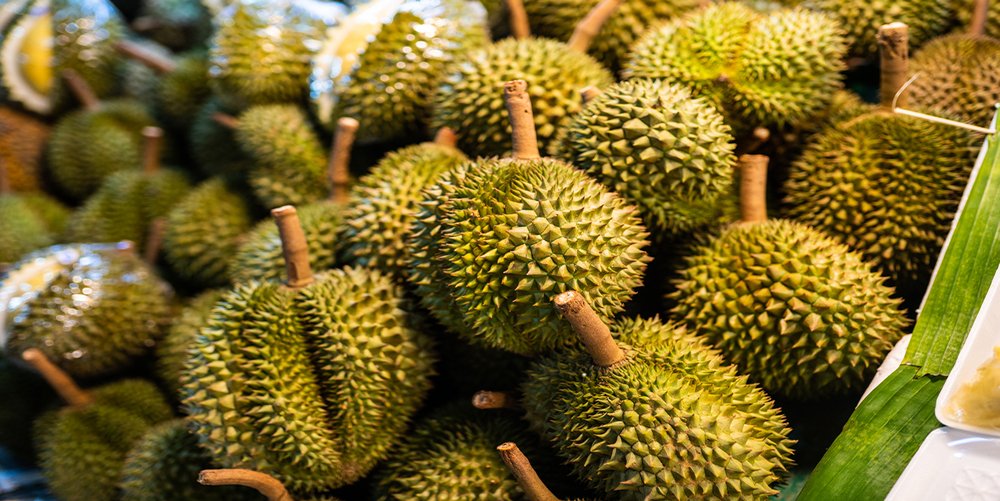 Durian Fruit Thailand